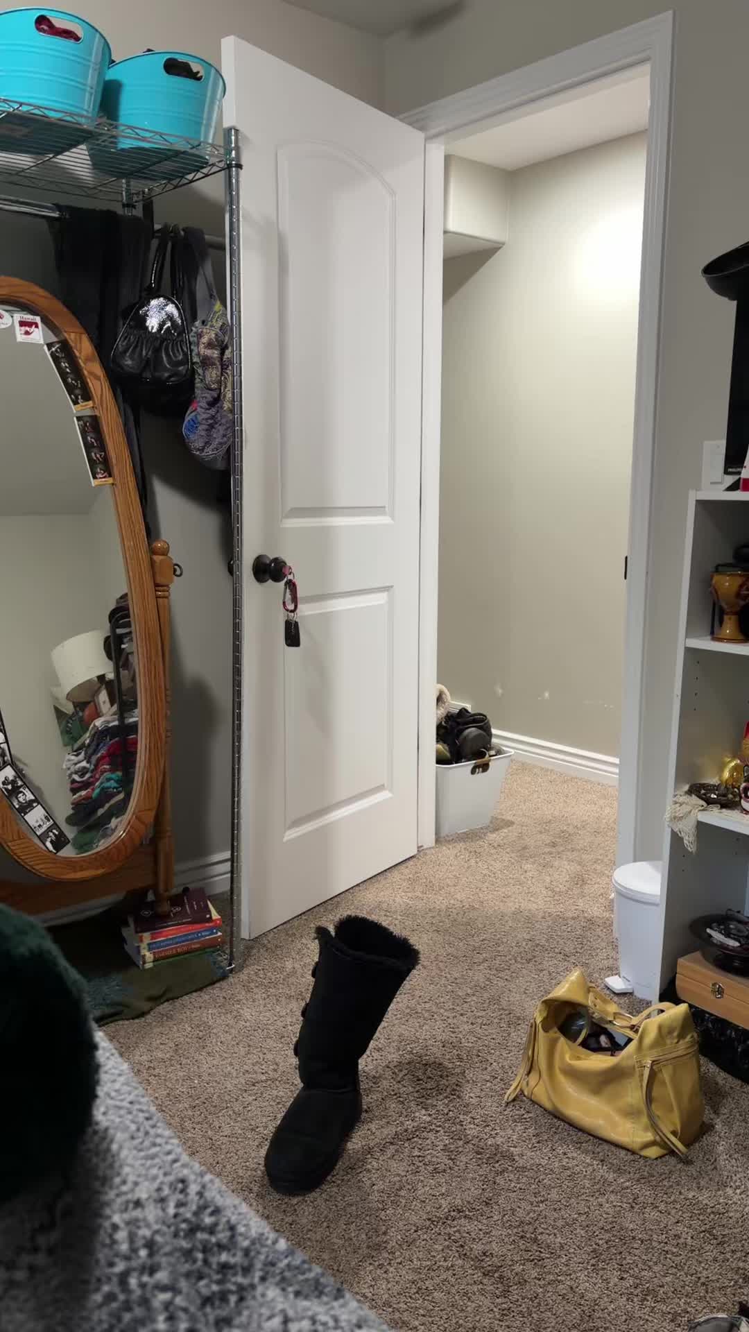 @chihuahuaman6967