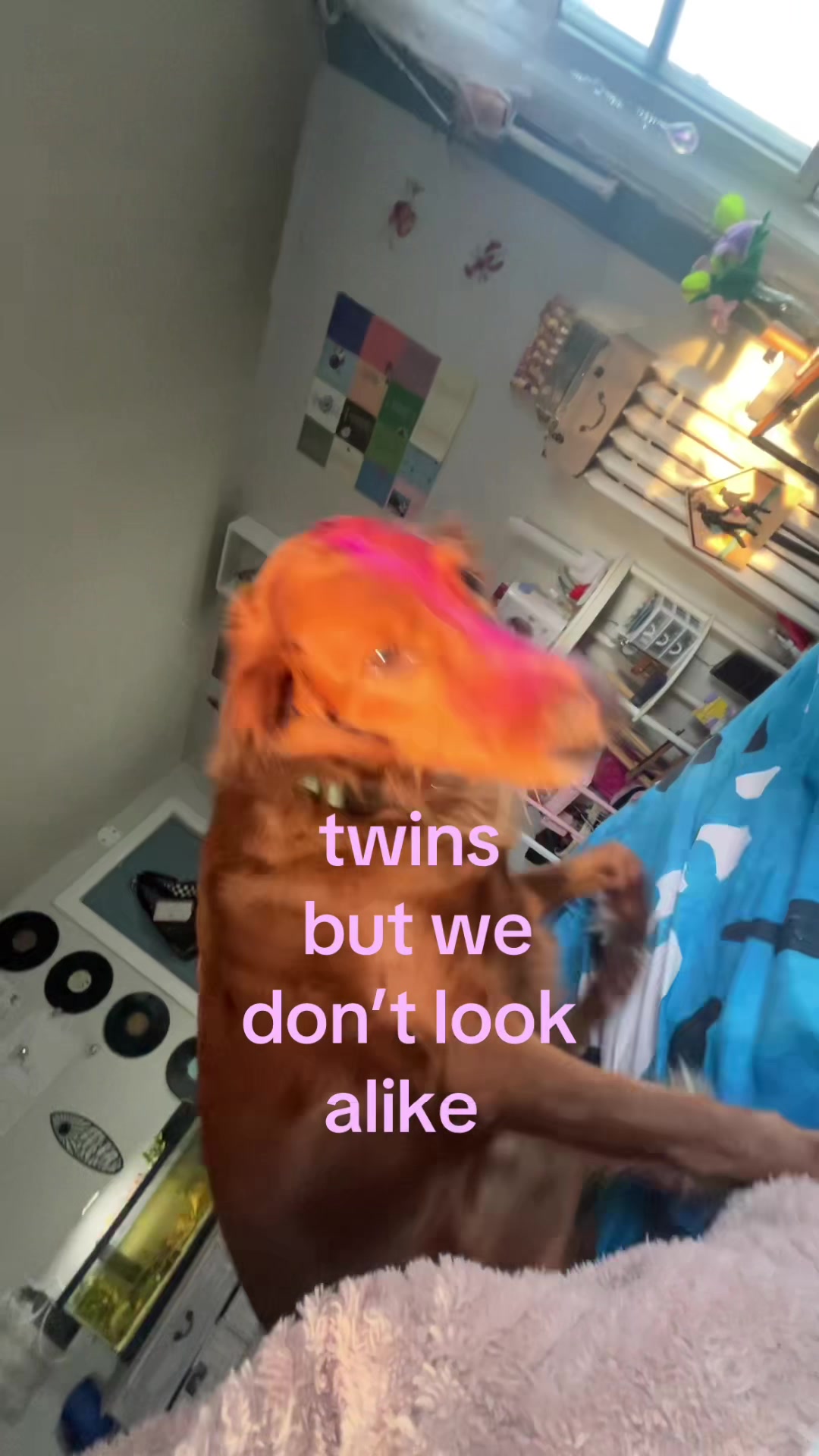 @✔️©️
