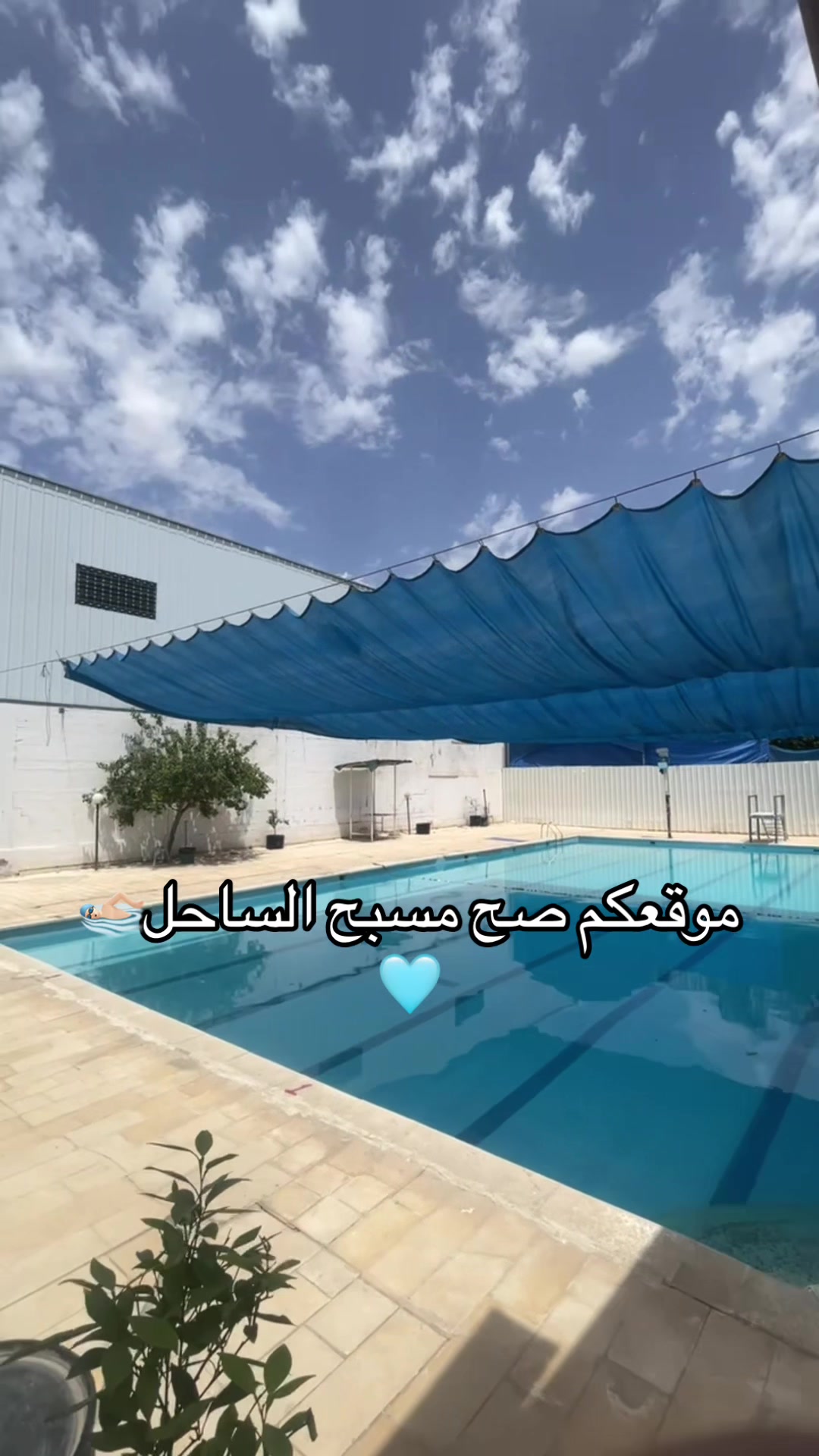 @مسبح الساحل 🏊🏻♂️🏊🏻♂️