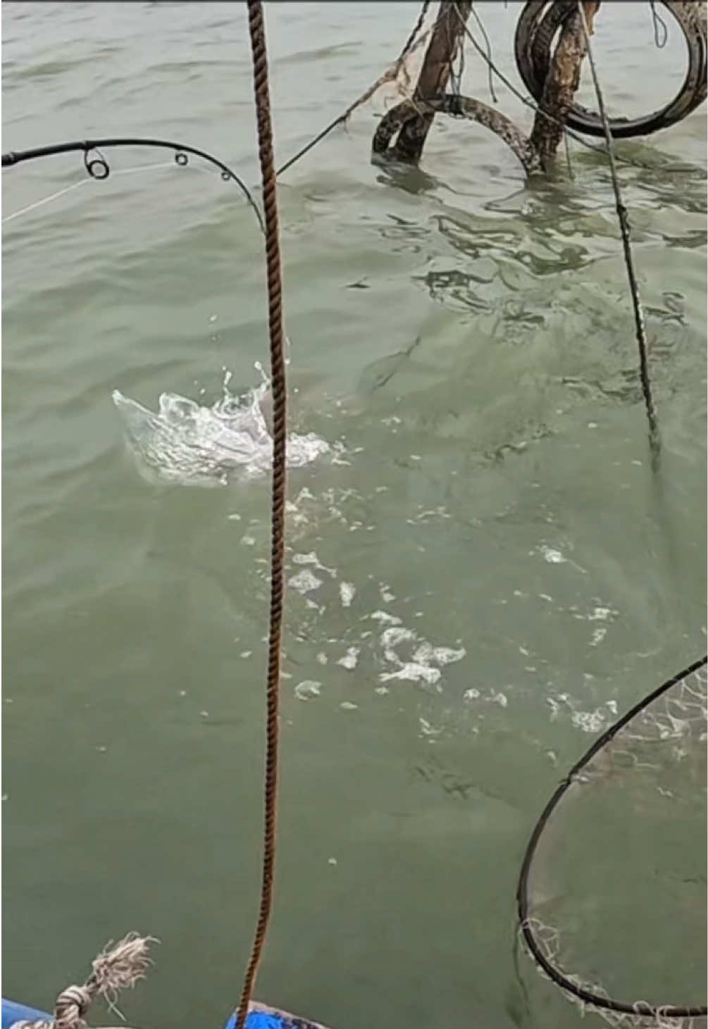 @JUFRI MANCING