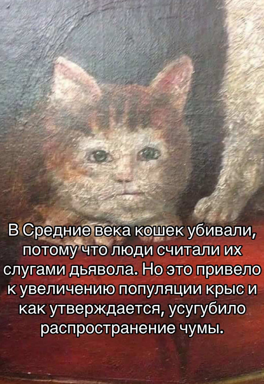 @elina’s marginalia 📜