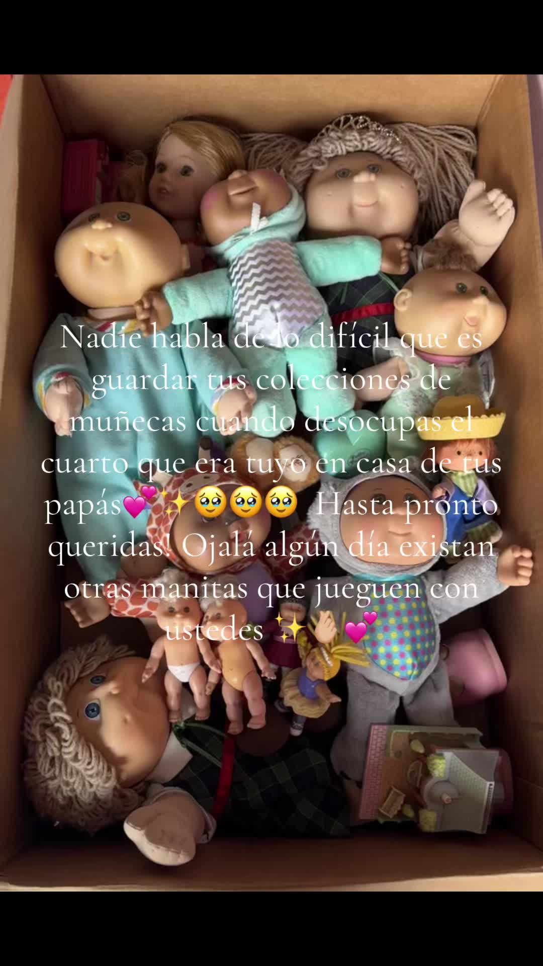 @Fabiola Pineda