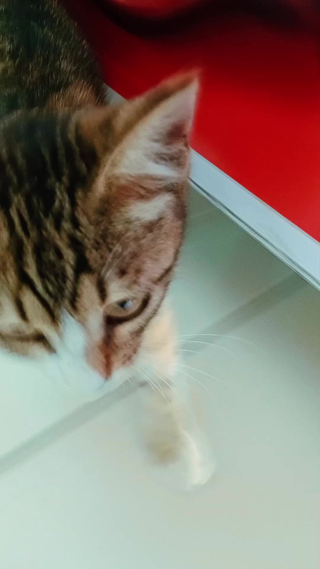 @Ali g&uuml;l
