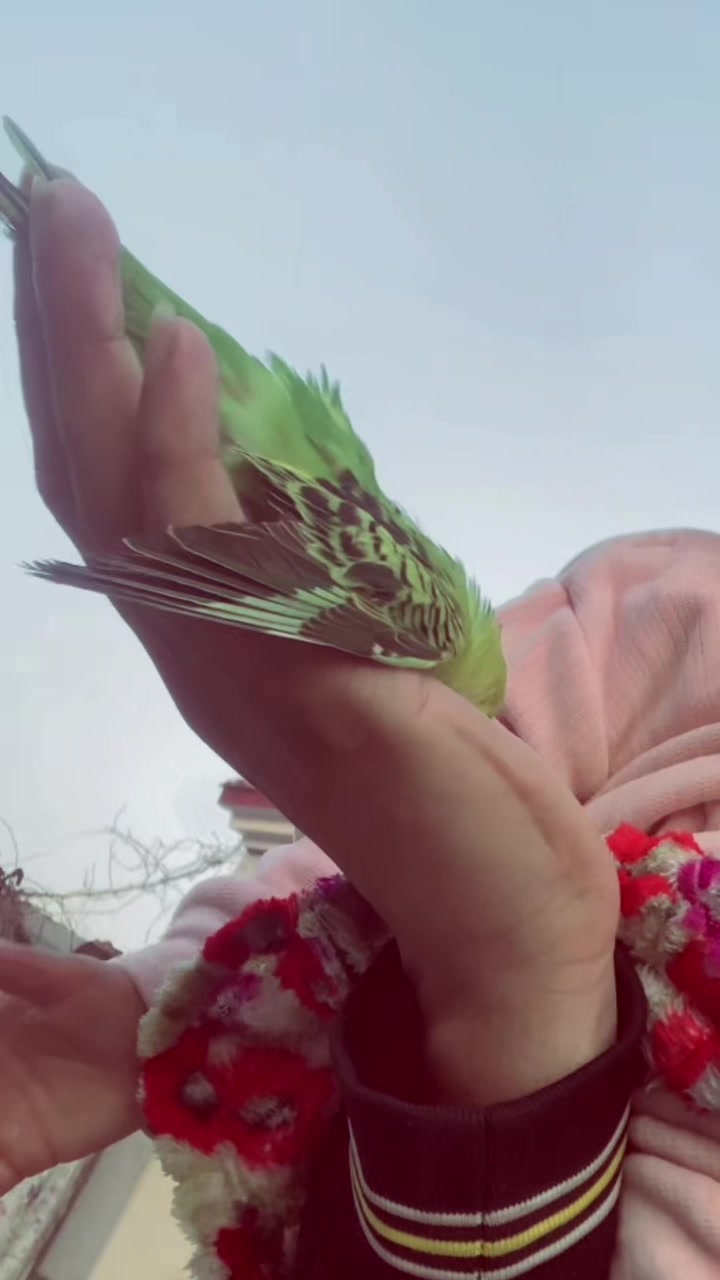@🍁شہر یار خانی 🦋