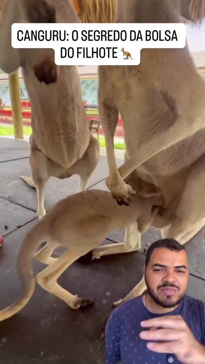 @Obrasilense