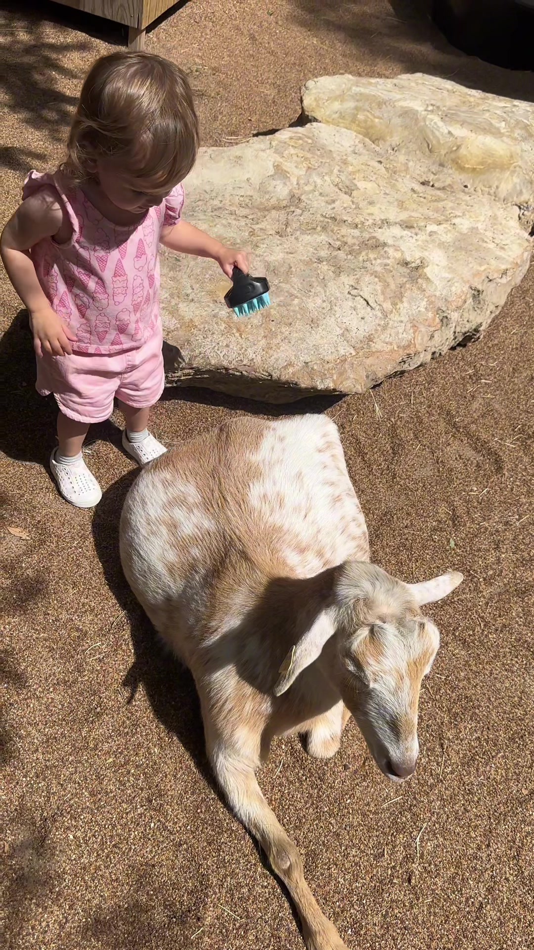 @Kayla Jane | SAHM