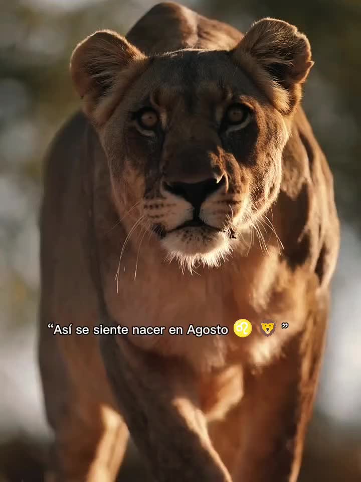 @Noelia Lizeth