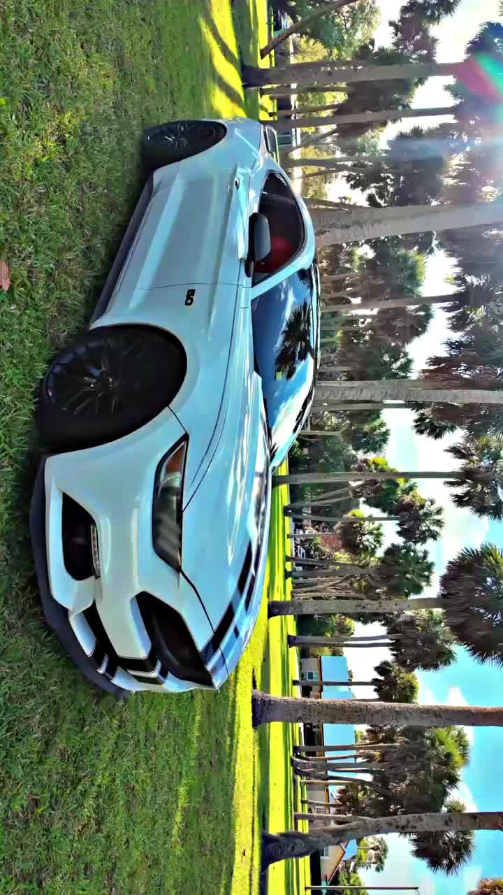 @davidgt869