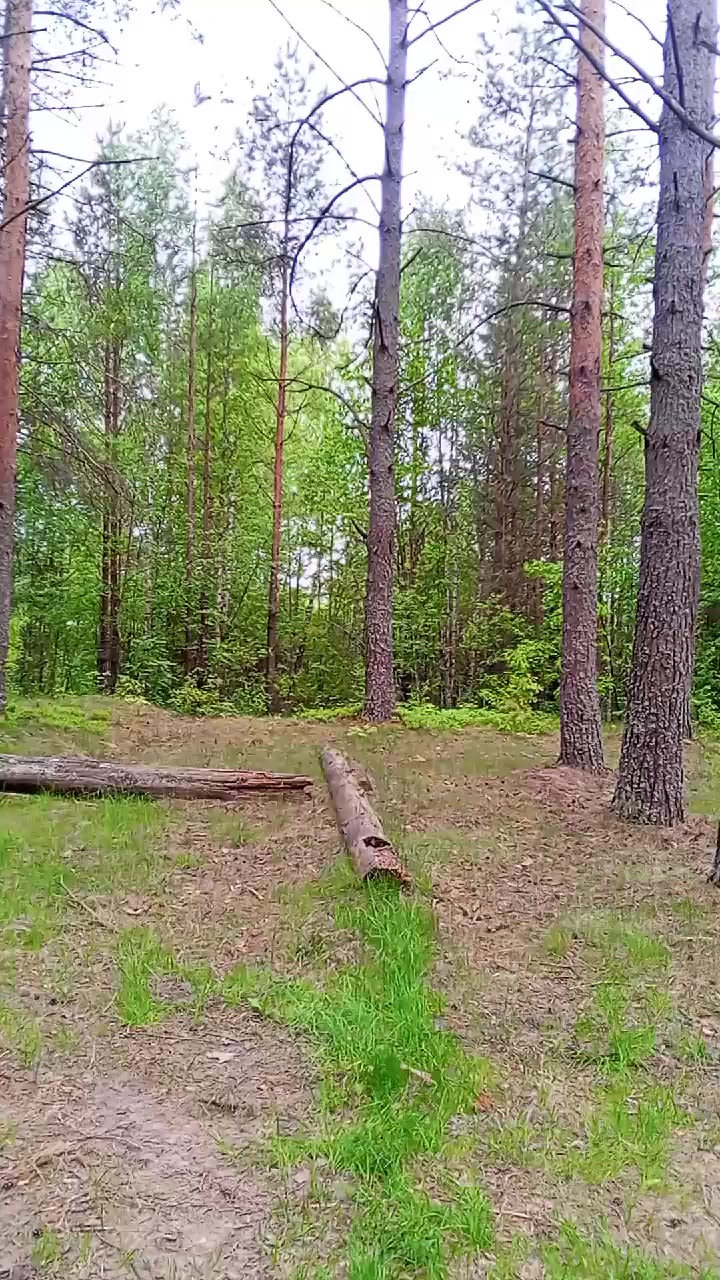 @мария 🇷🇺