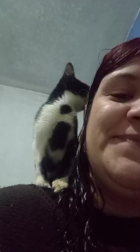 @Francieli Soares RS