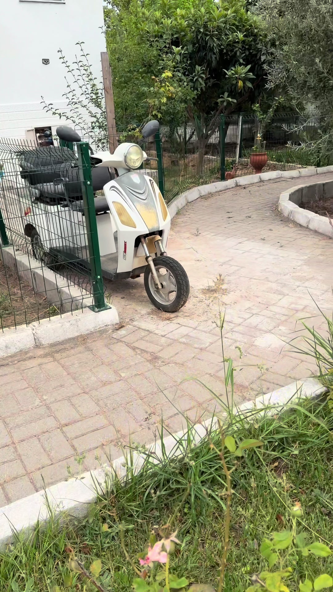 @ebru gümüştekin