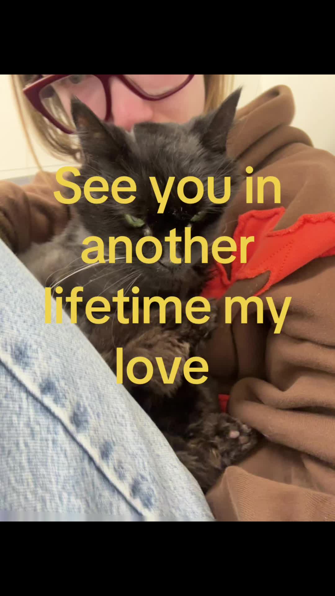 @🤍🤍🤍