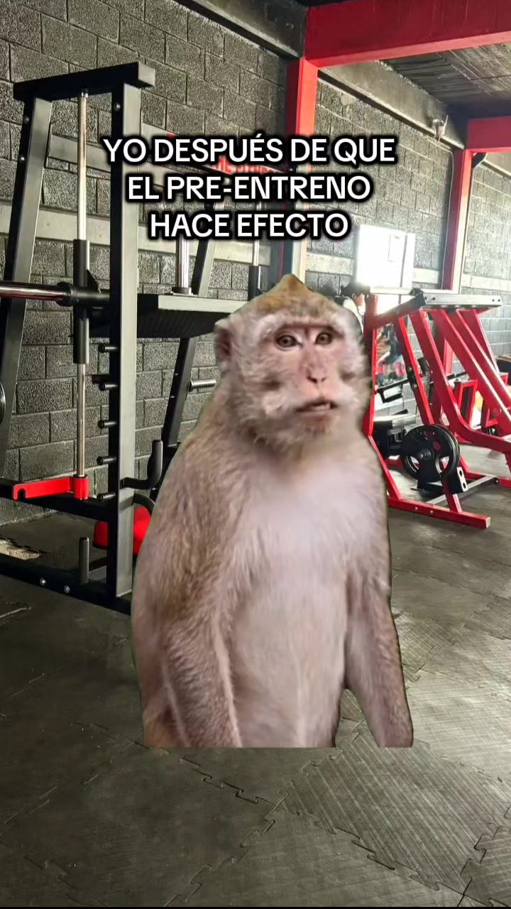 @sebas_fit_martinez