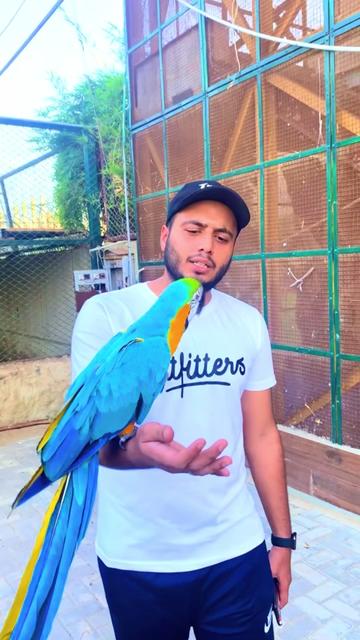 @jimmy_junaid_zoologist