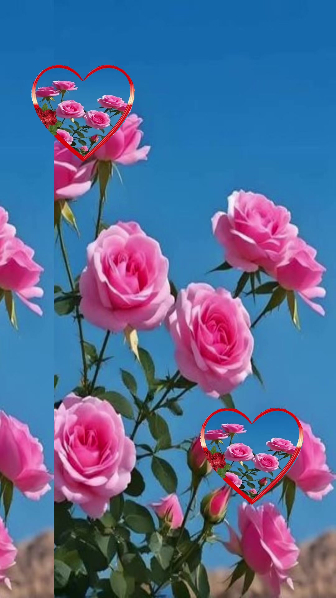 @krishna adhikari