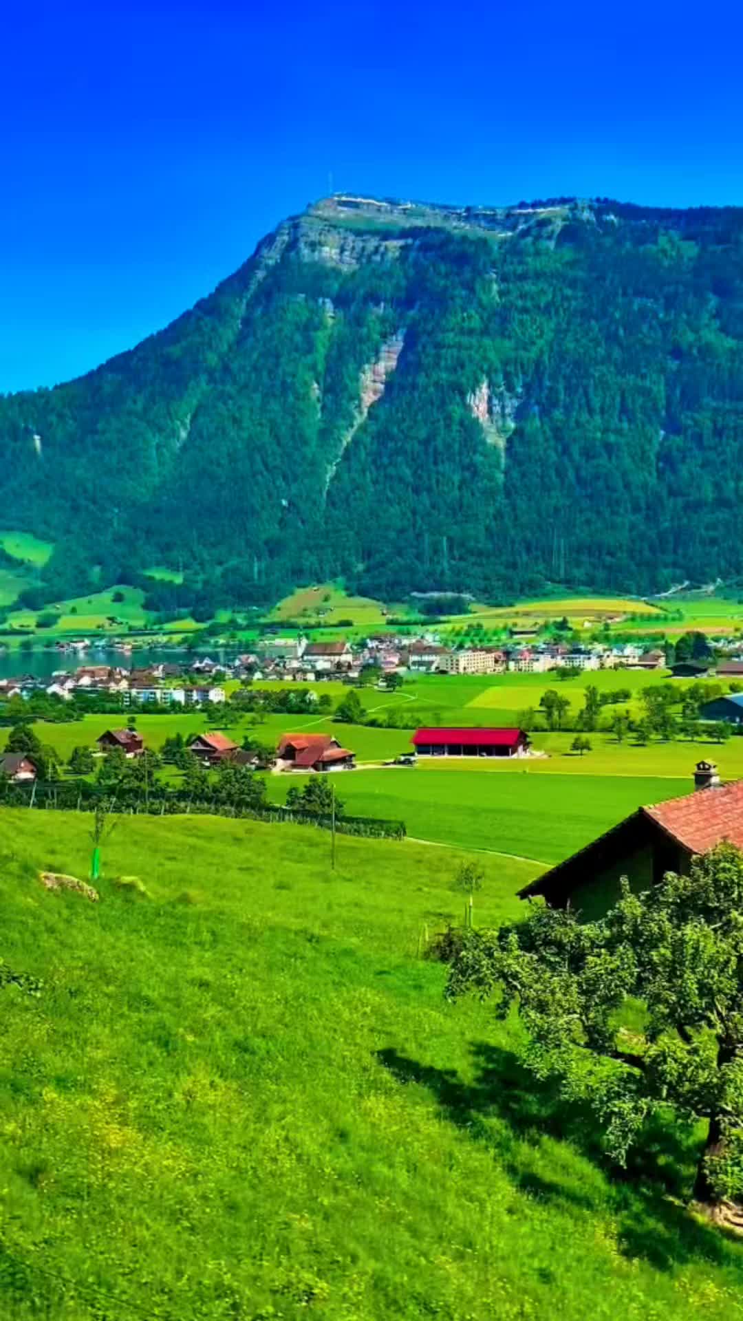 @🌿Relaxing Nature World🌿