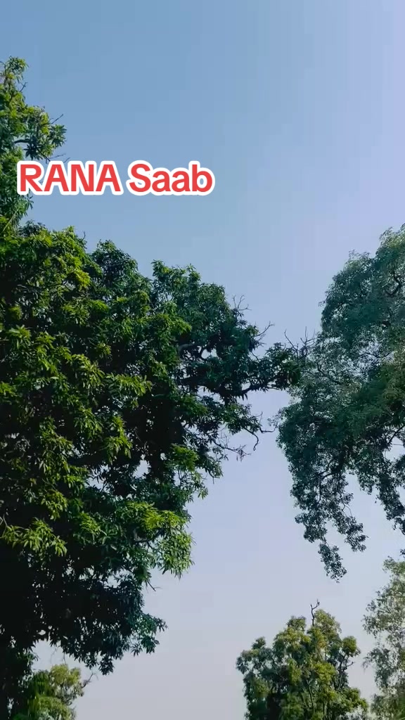 @RANAbabar619