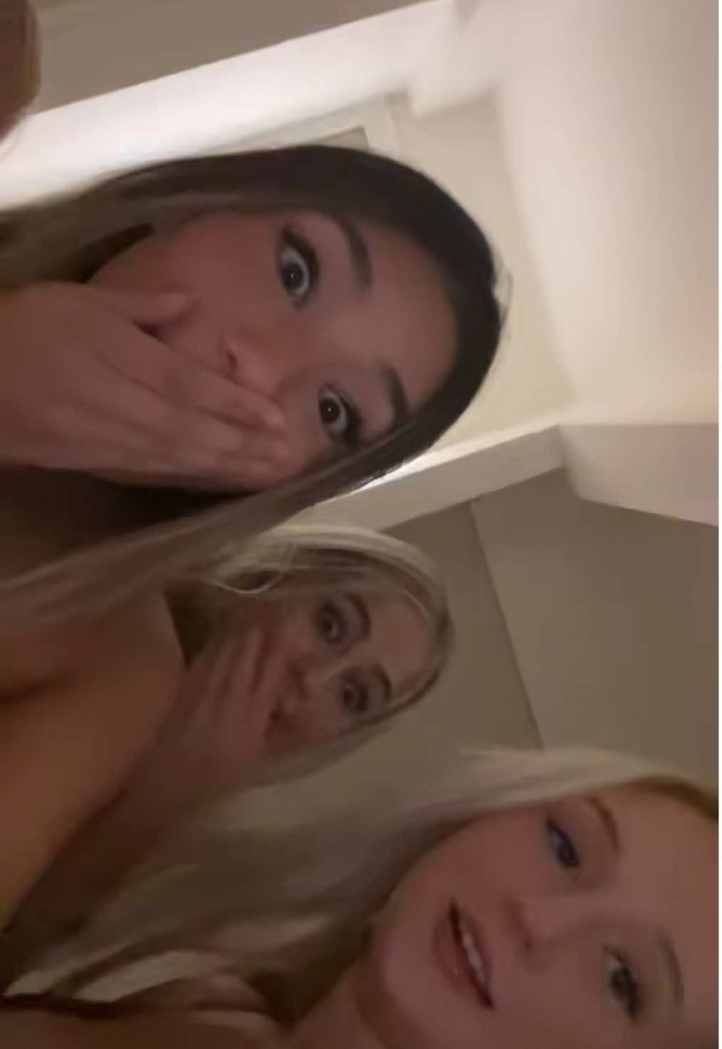 @maya adib