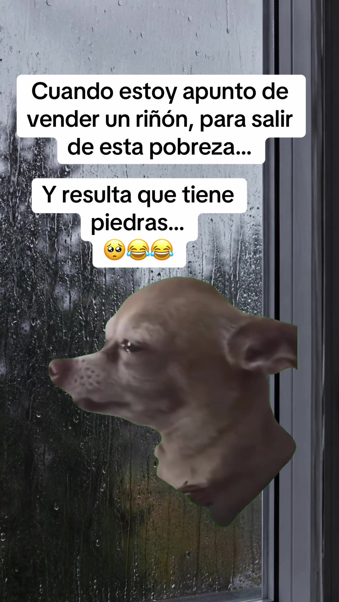 @Memesfactory
