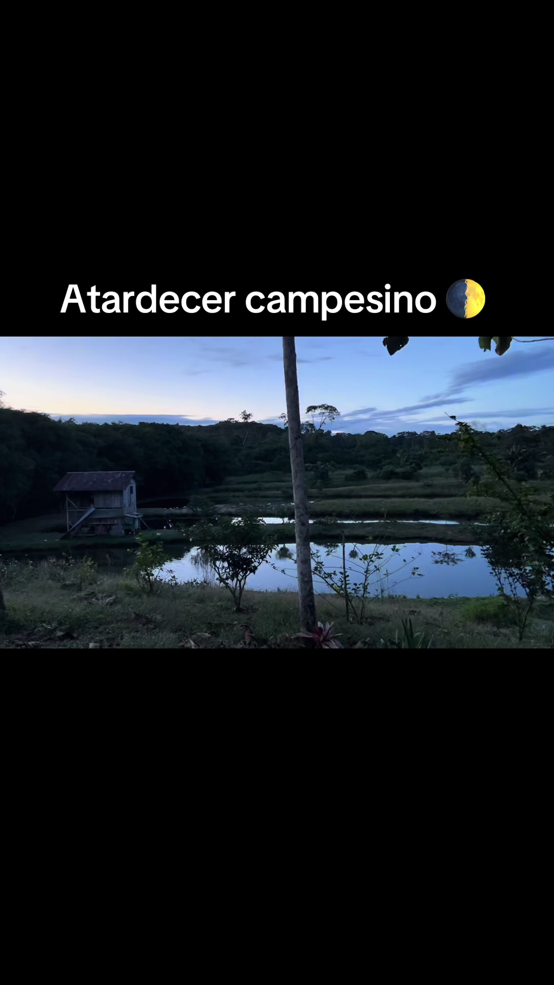 @Alex Ecuador