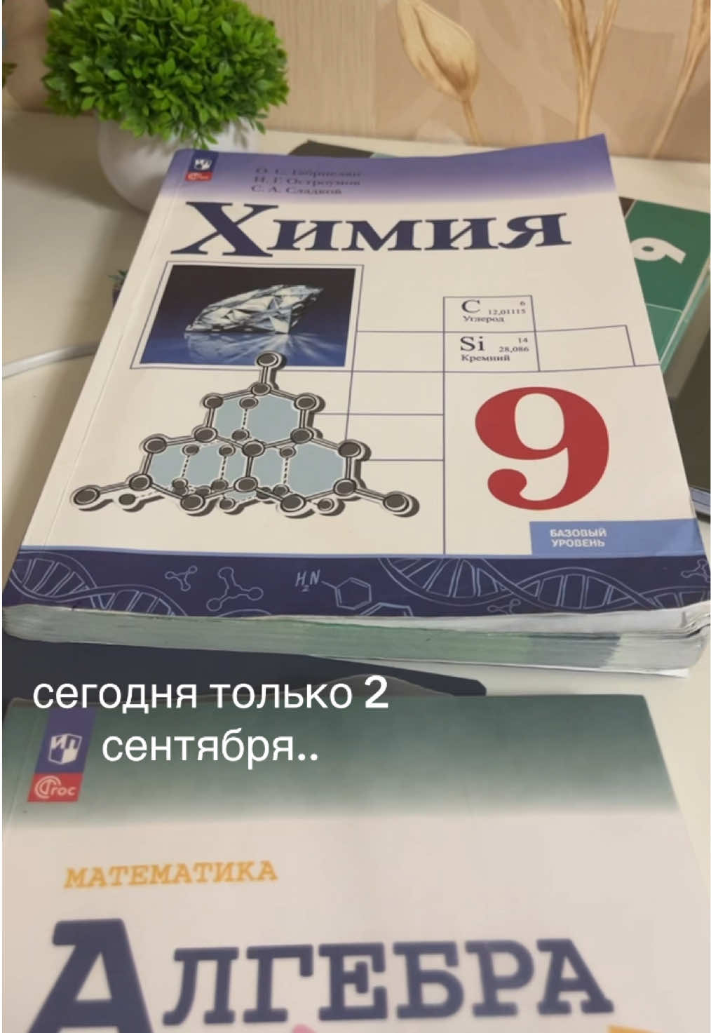 @викухаа🗽