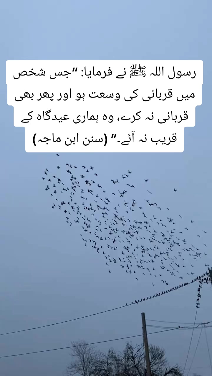 @💪🦅&Ntilde;R🦅🇵🇰