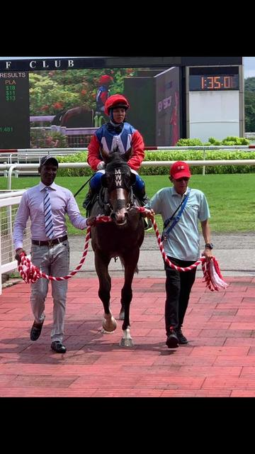 @kevin 🏆🏇🏇🏇🏆 🇸🇬🇲🇾🇳🇿