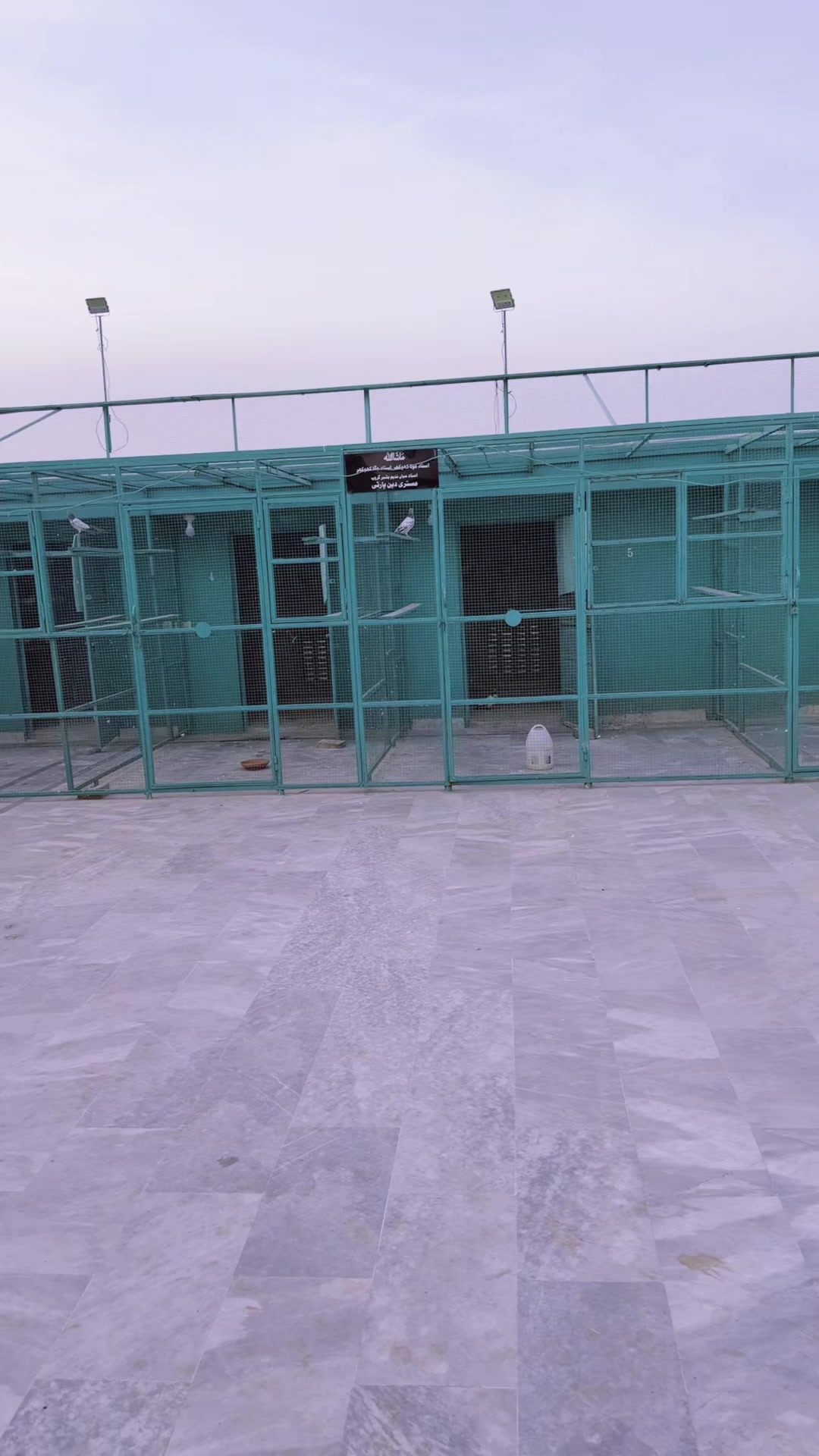 @Mola Khokhar