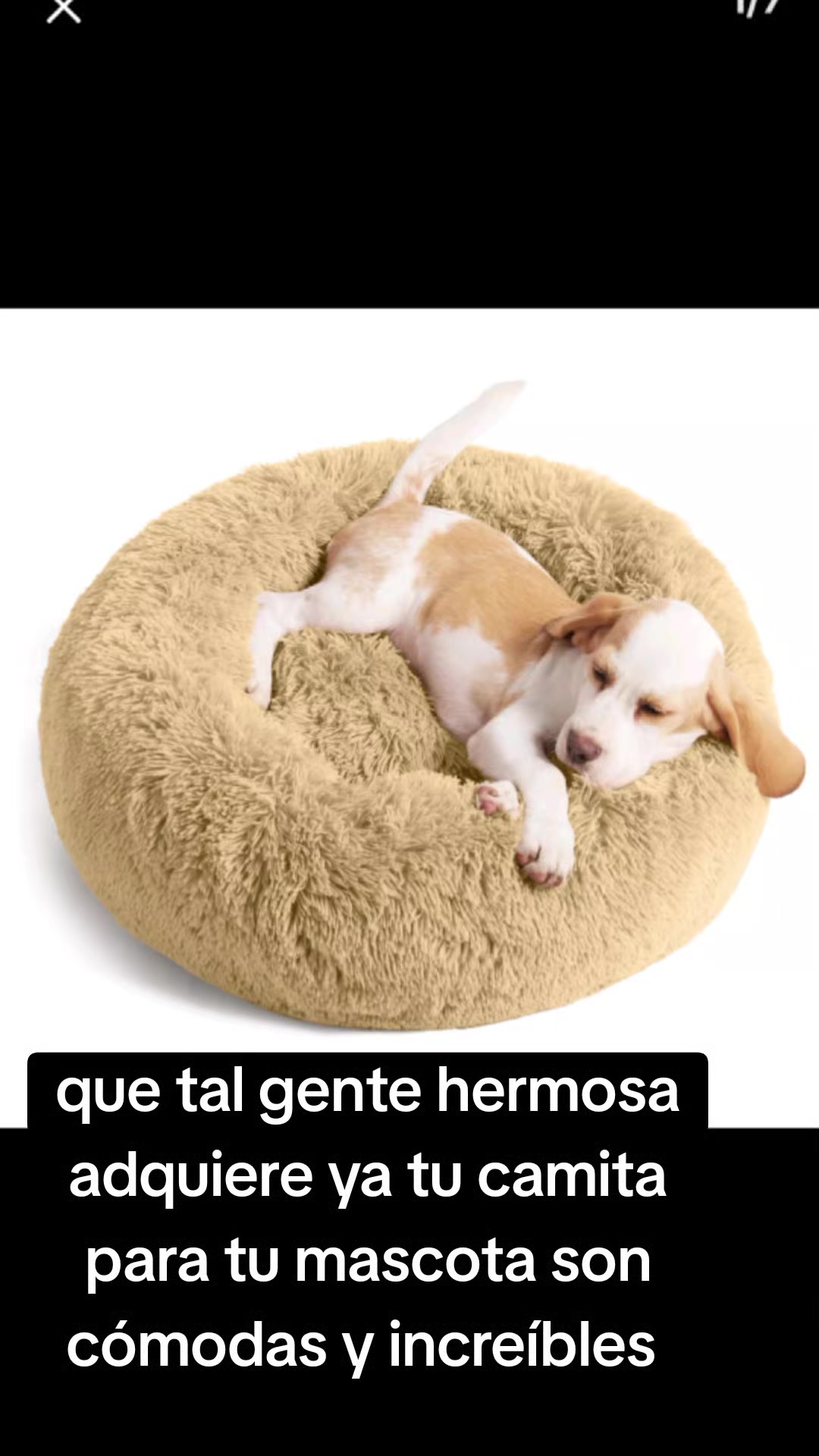 @AmericanistasDeCorazon