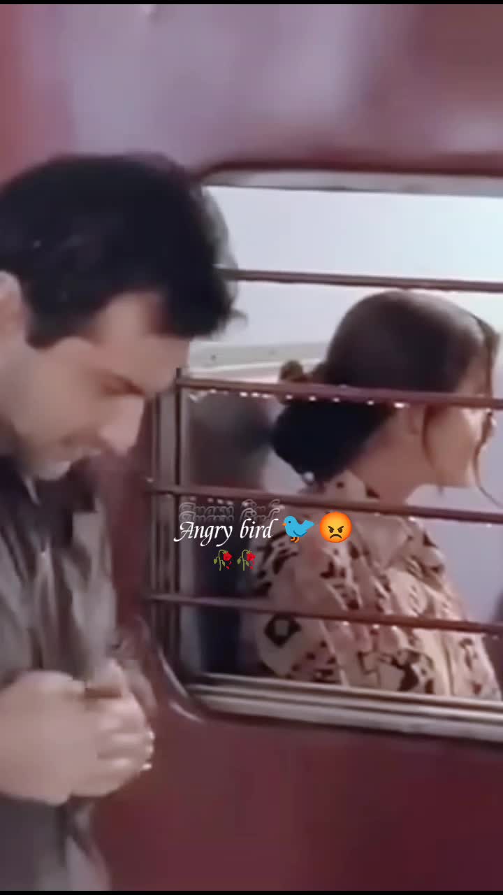 @💫𝖆𝖓𝖌𝖗𝖞 𝖇𝖎𝖗𝖉𝖘💫💥
