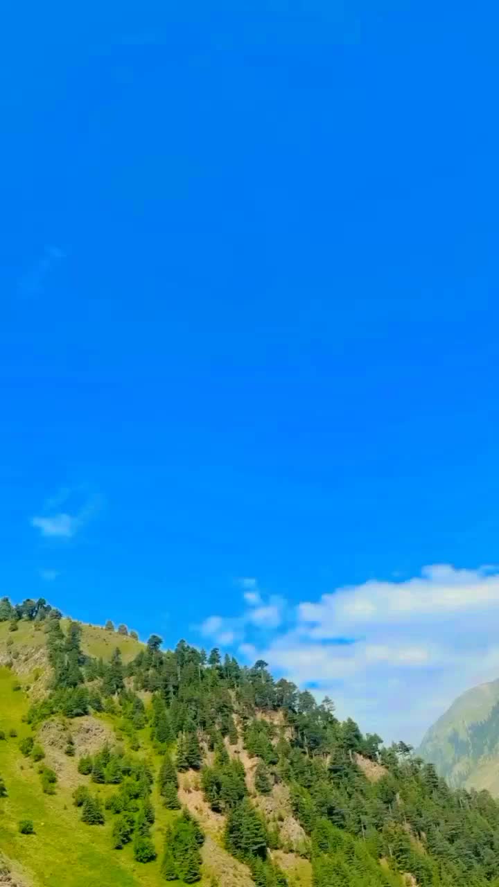 @راجہ شاہ رخ ایم ایس ایف