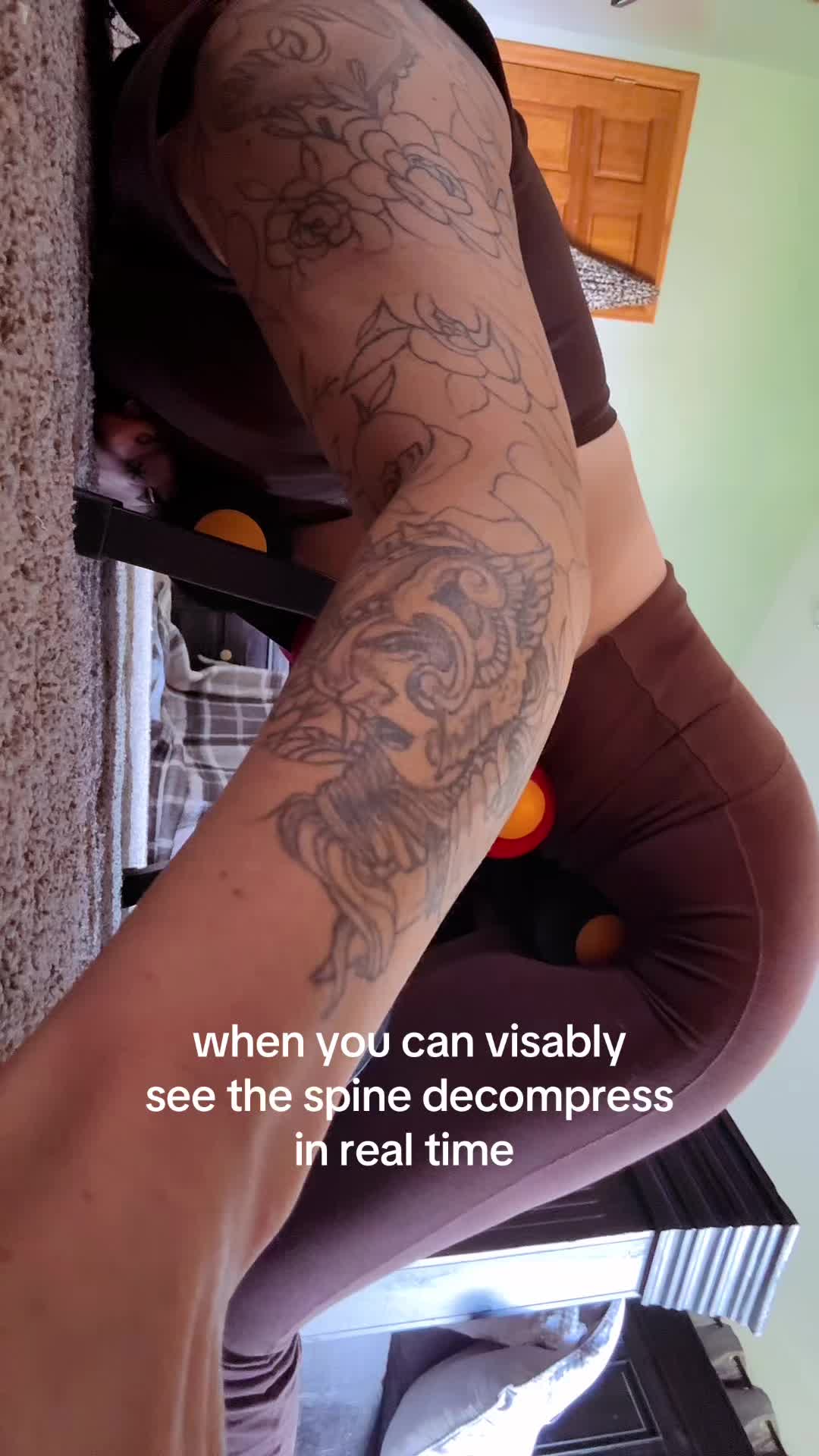 @hausofgesicat
