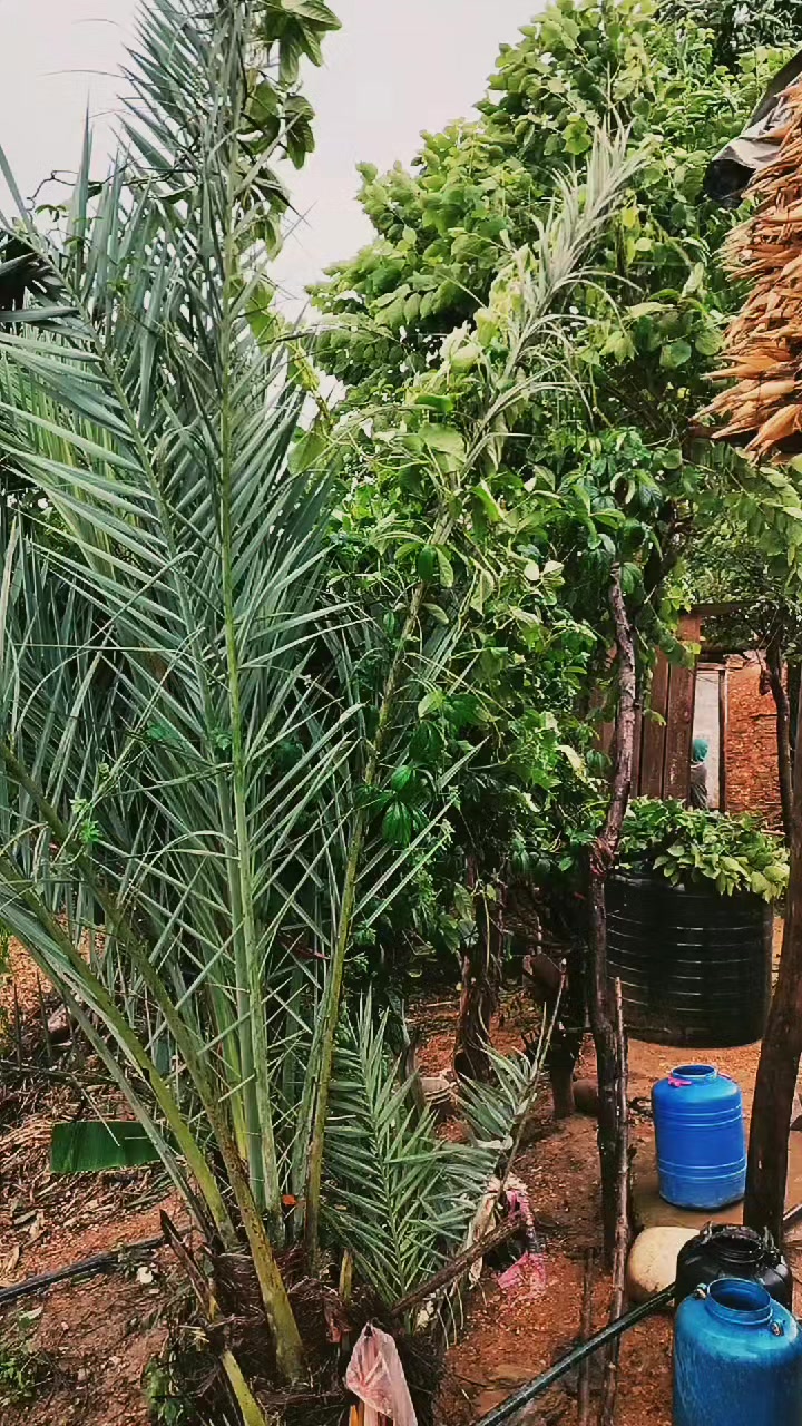 @Atma Ram Kanxa