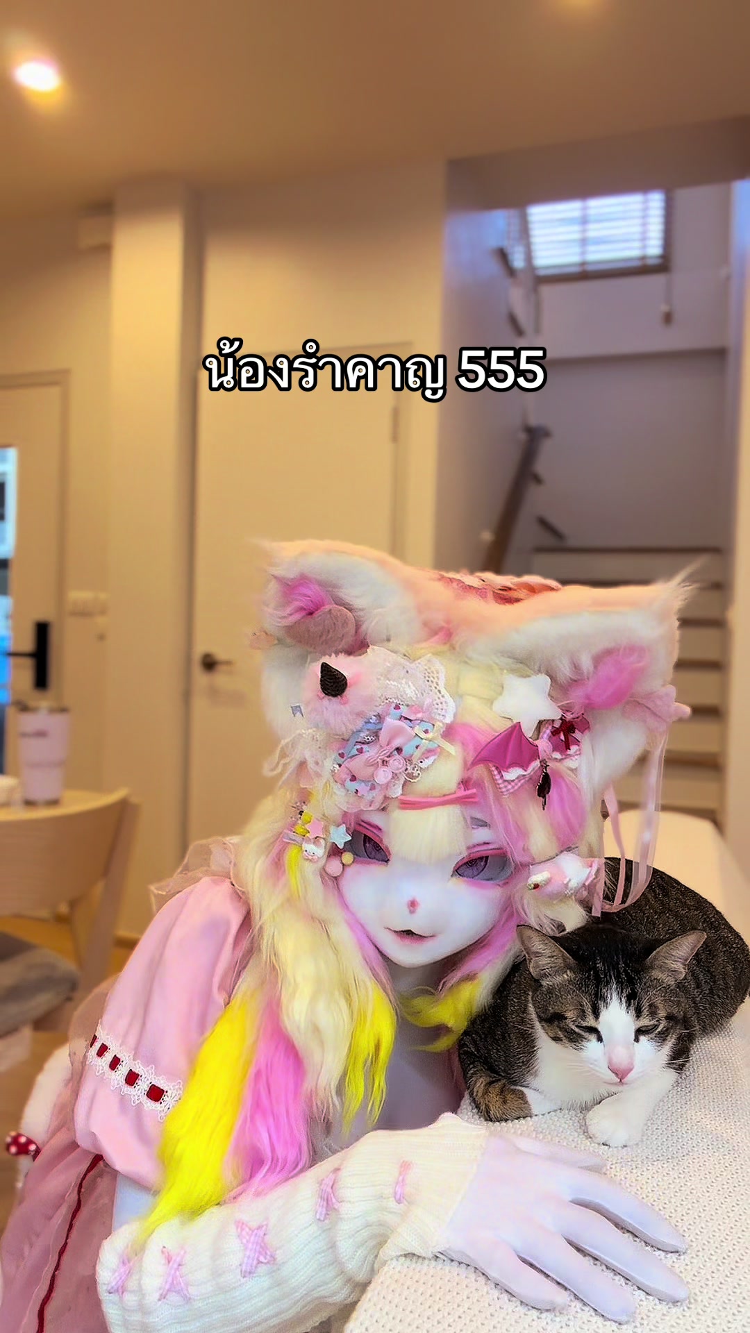 @aurorax (ออโรแร๊กซ์)