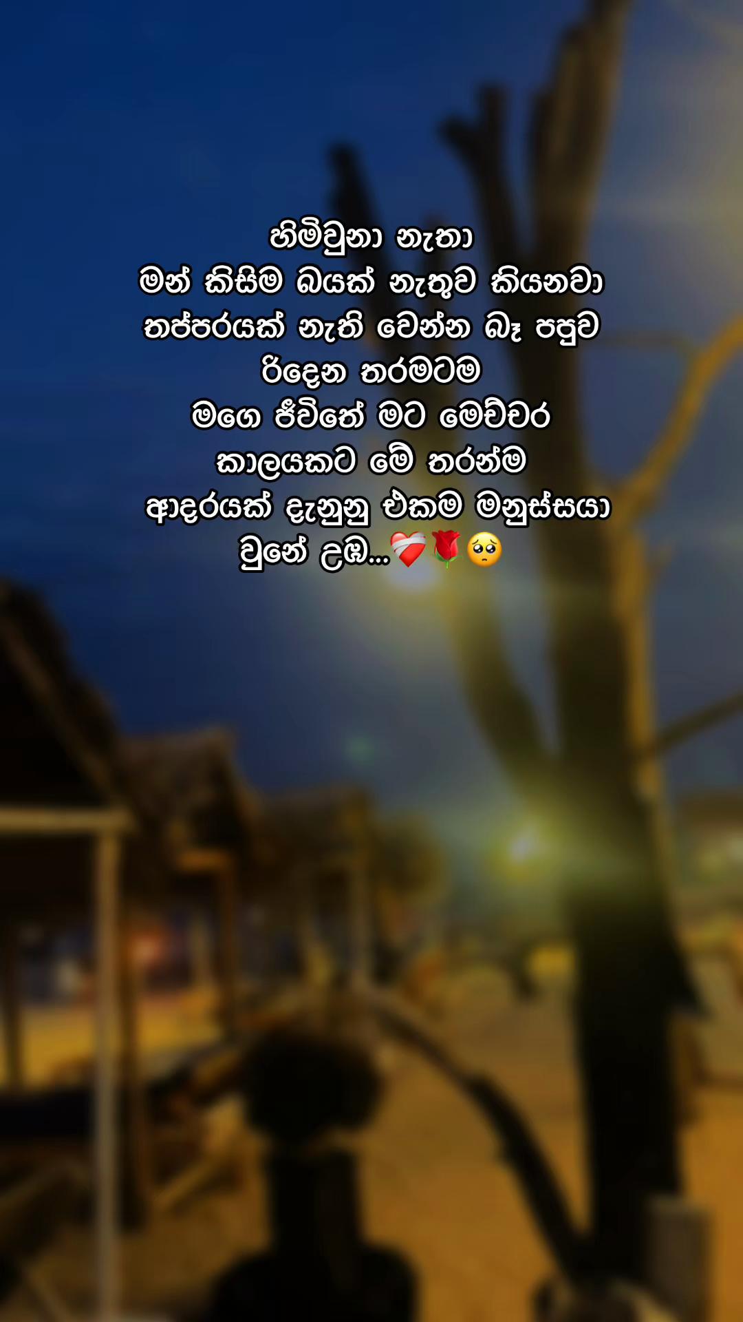 @Nethu Herath🤍🫀