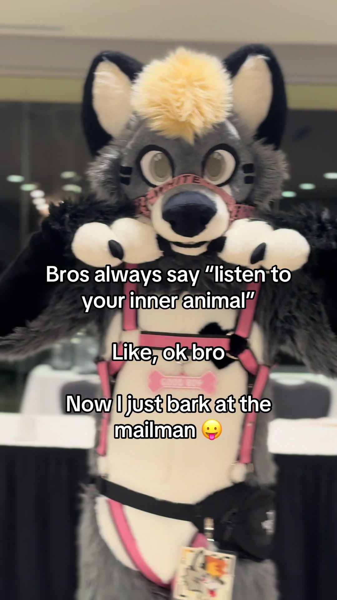 @🇨🇦Tiko