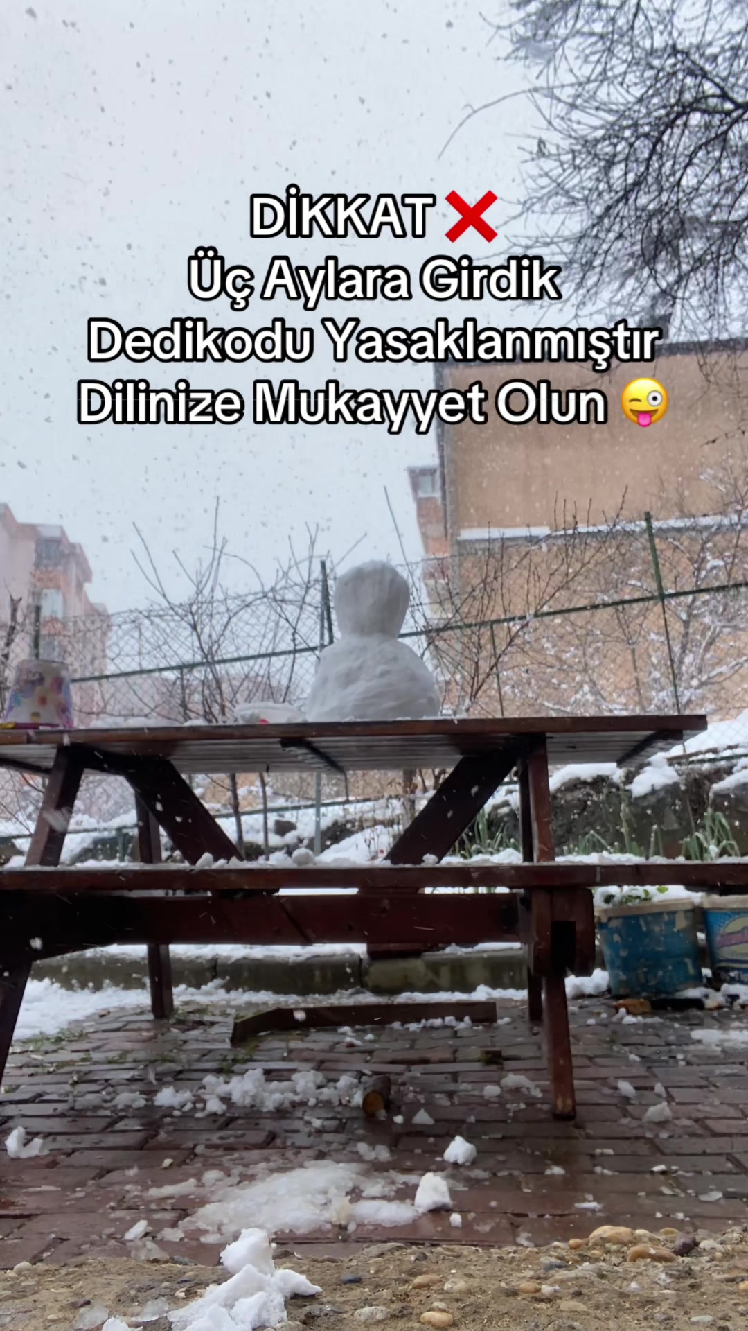 @yeliz.bckk