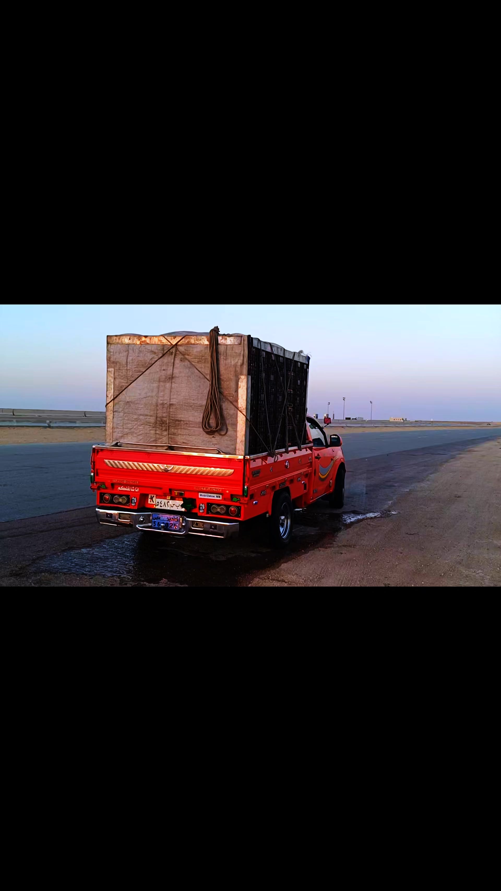 @فرولايةة بني سويف 🍓