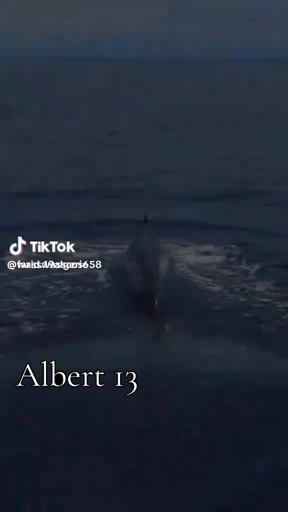 @Albert 13