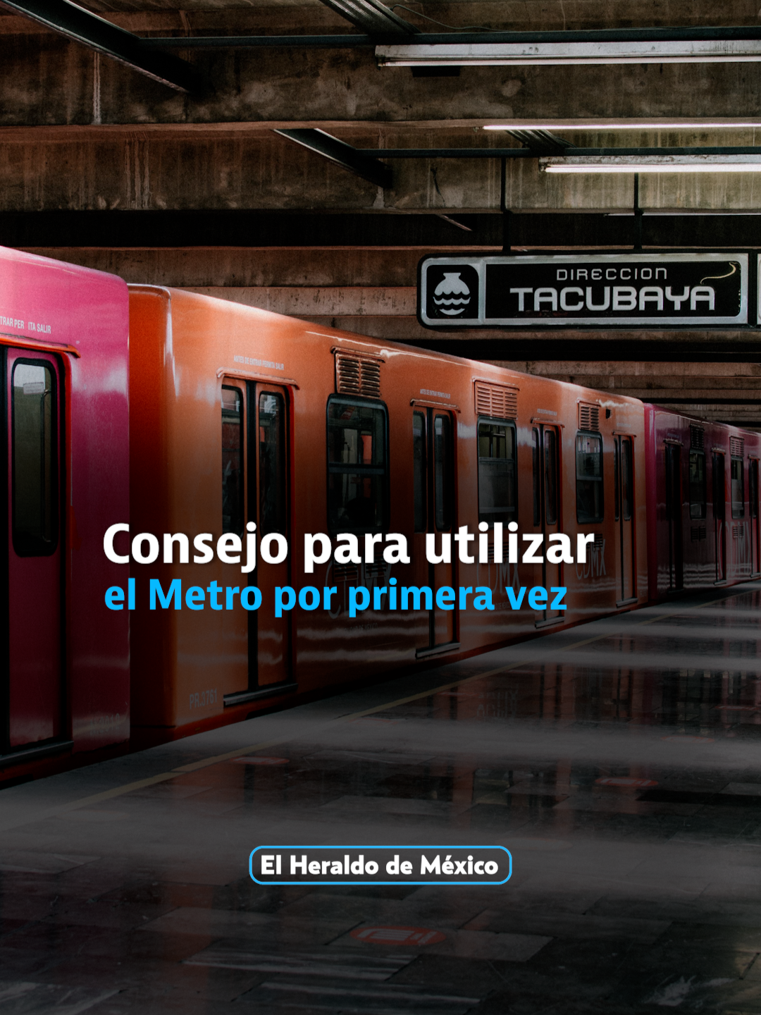 @elheraldodemexico