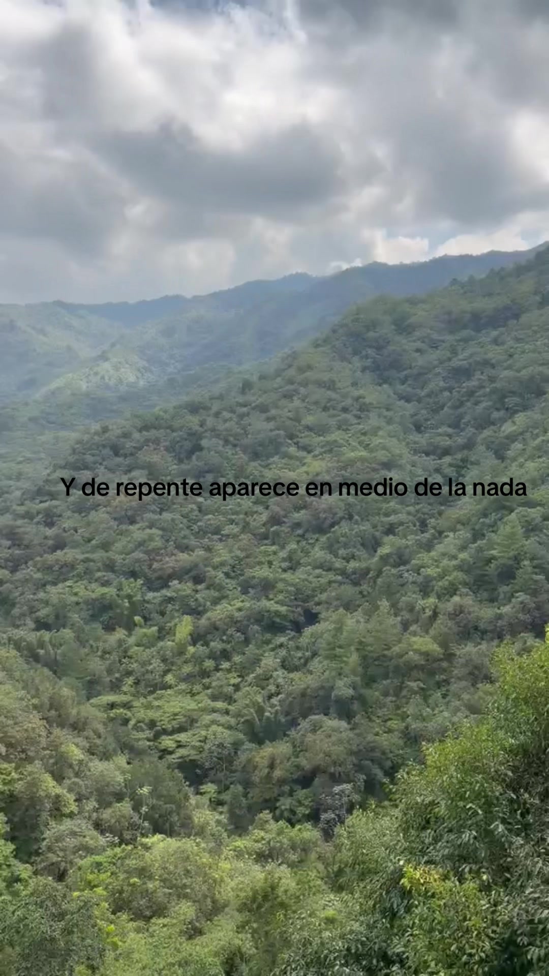 @vane vc