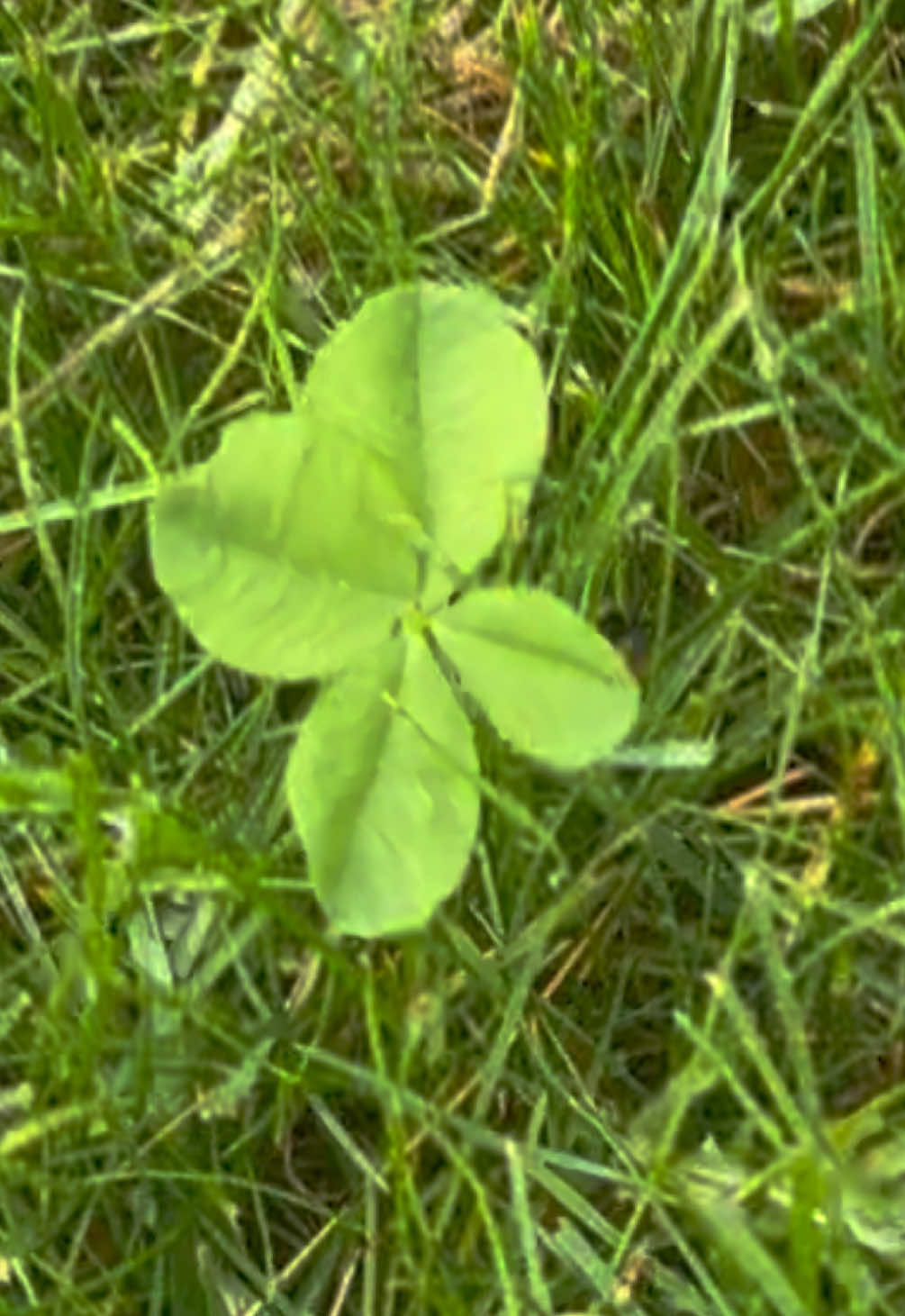 @Britt🍀