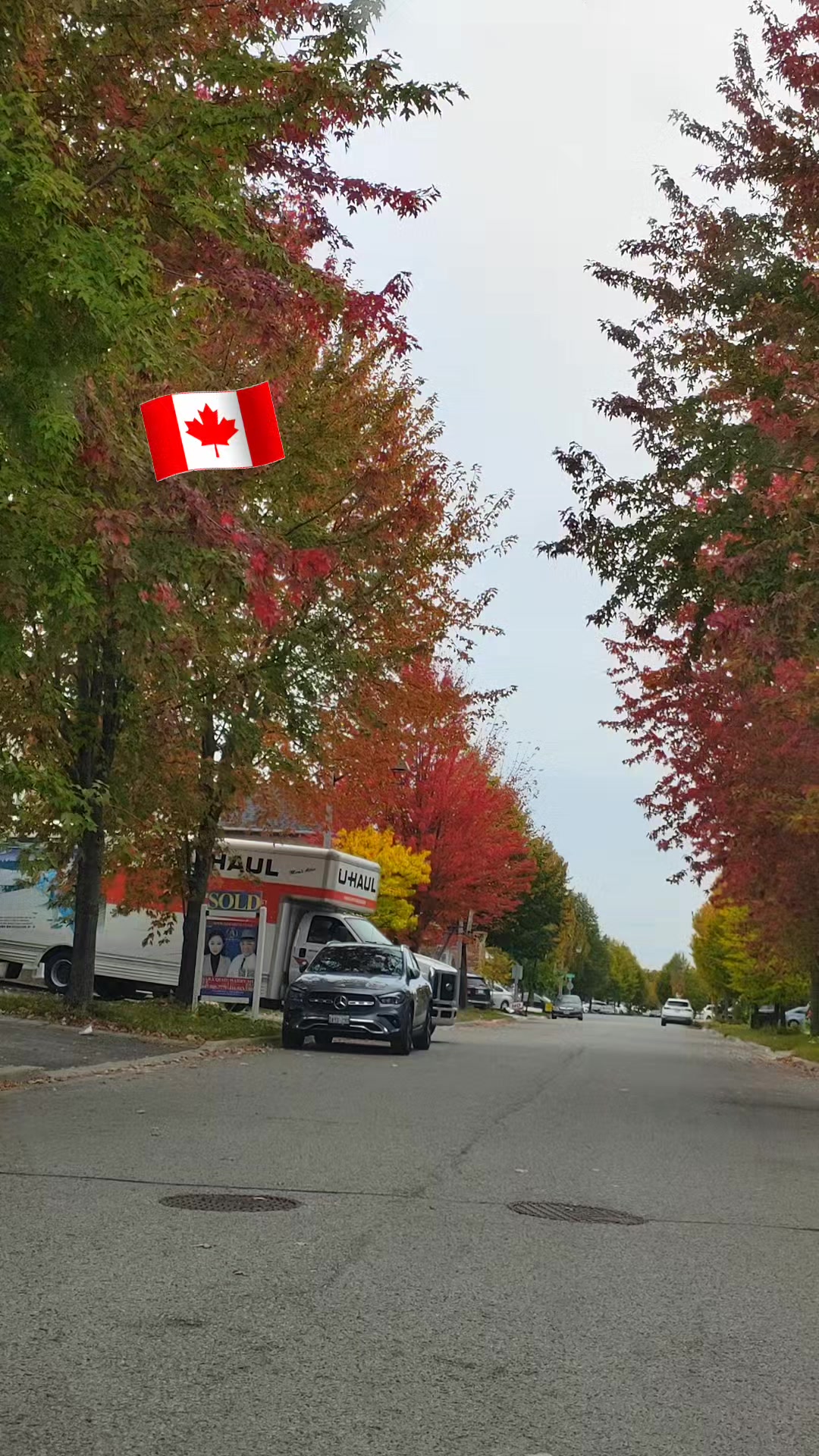 @Sher khan🇨🇦🥀