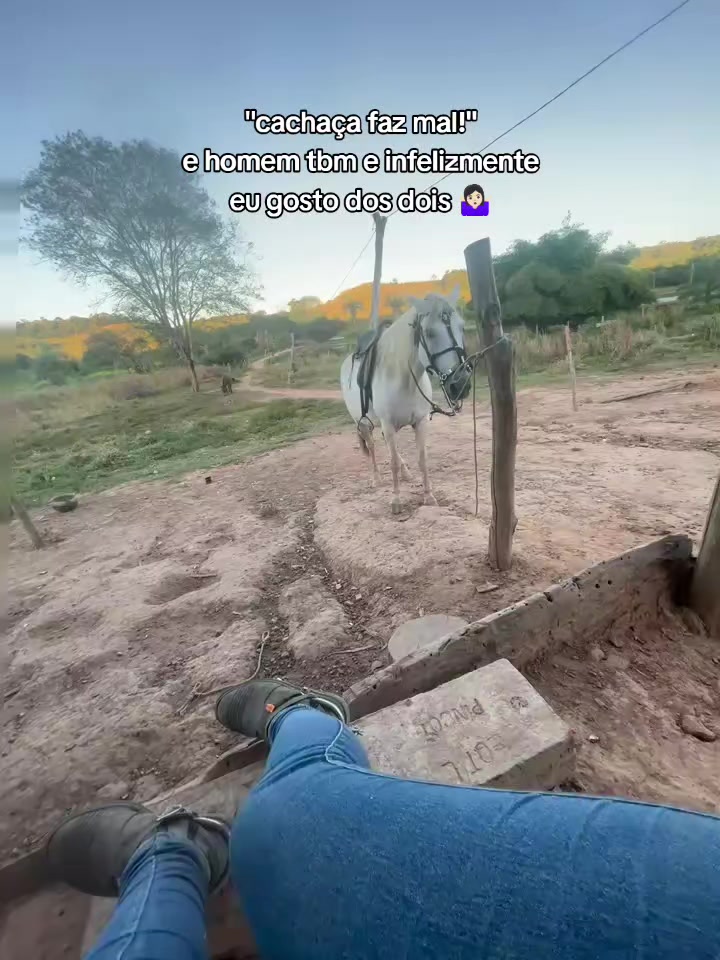 @Barbalho