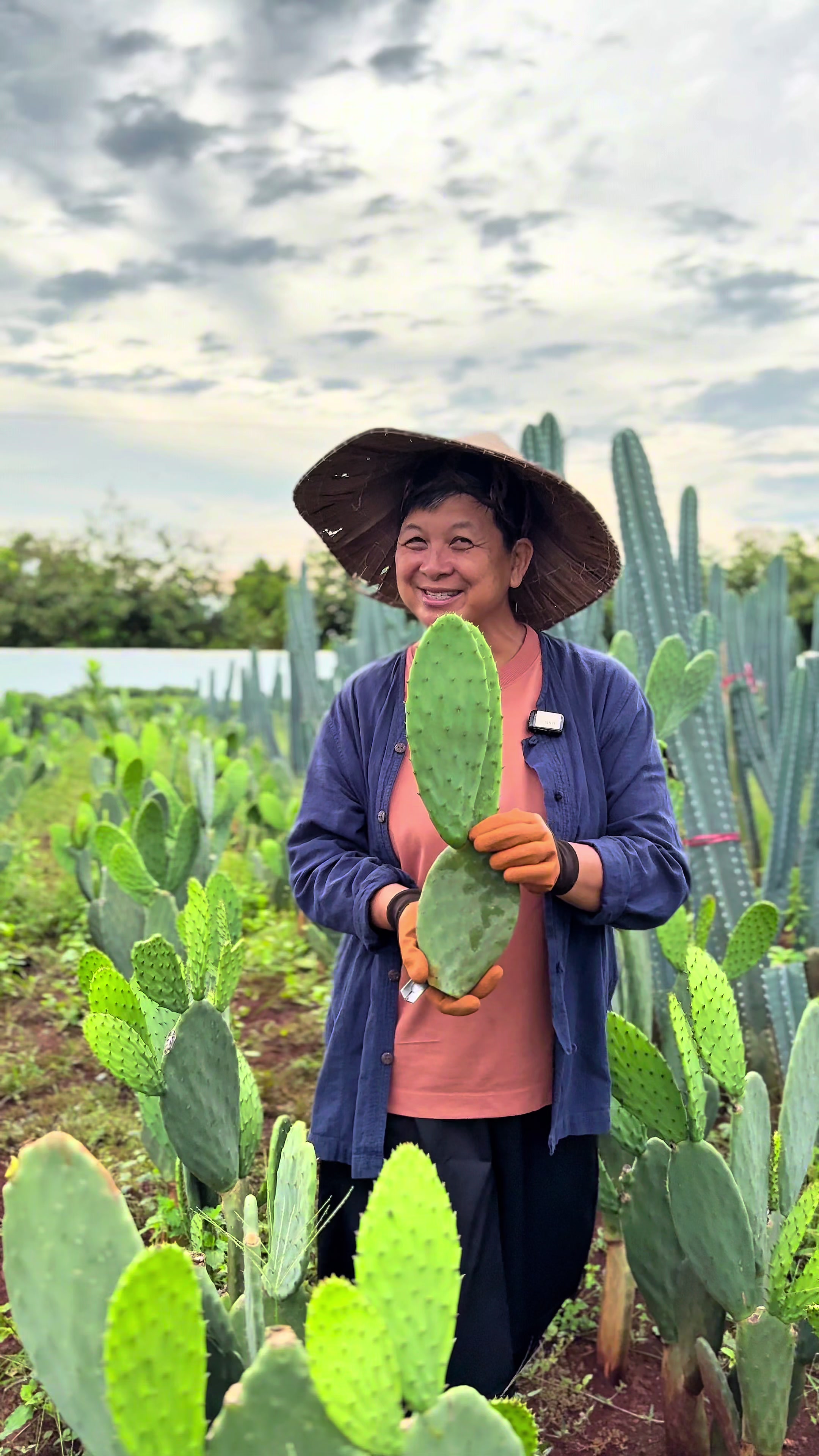 @ไร่วันยังขำ Oneyoungkham farm