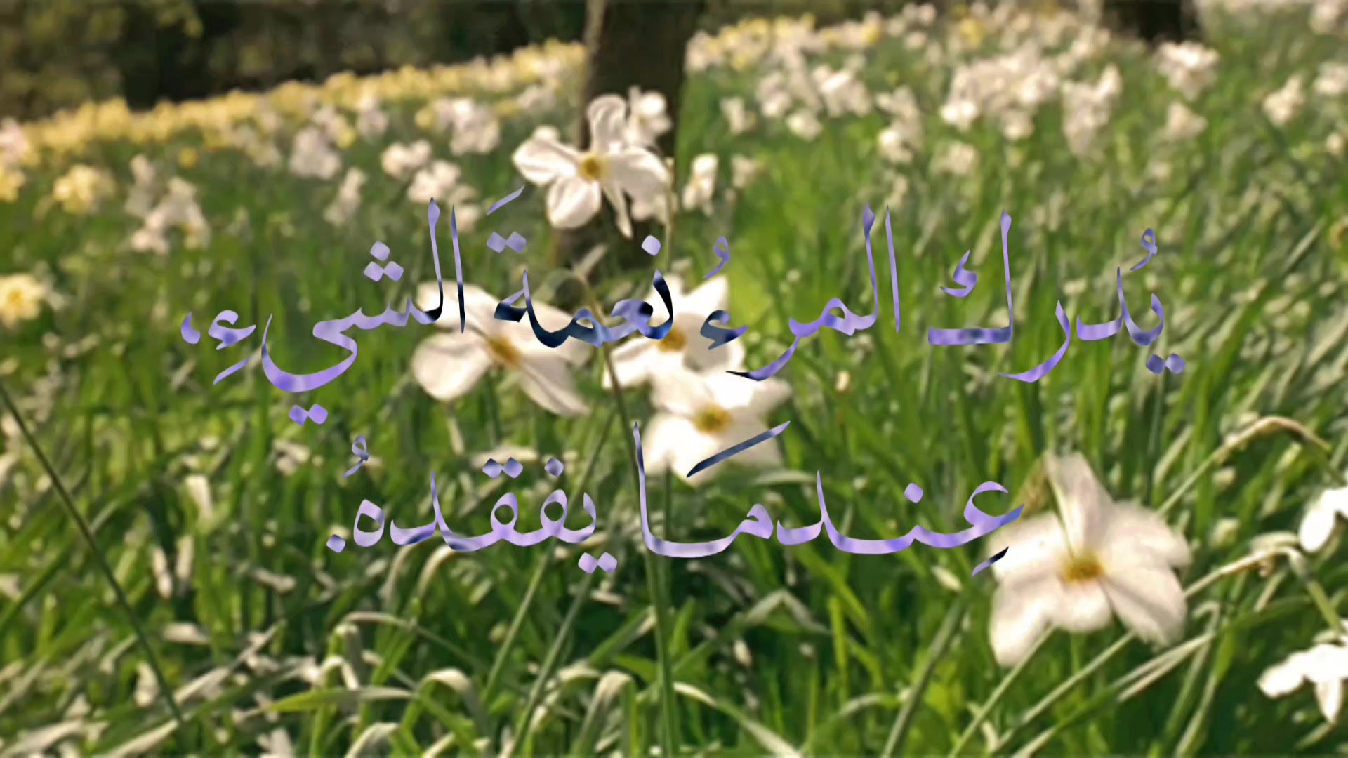 @" حَـفـصـةٌ🕯️".