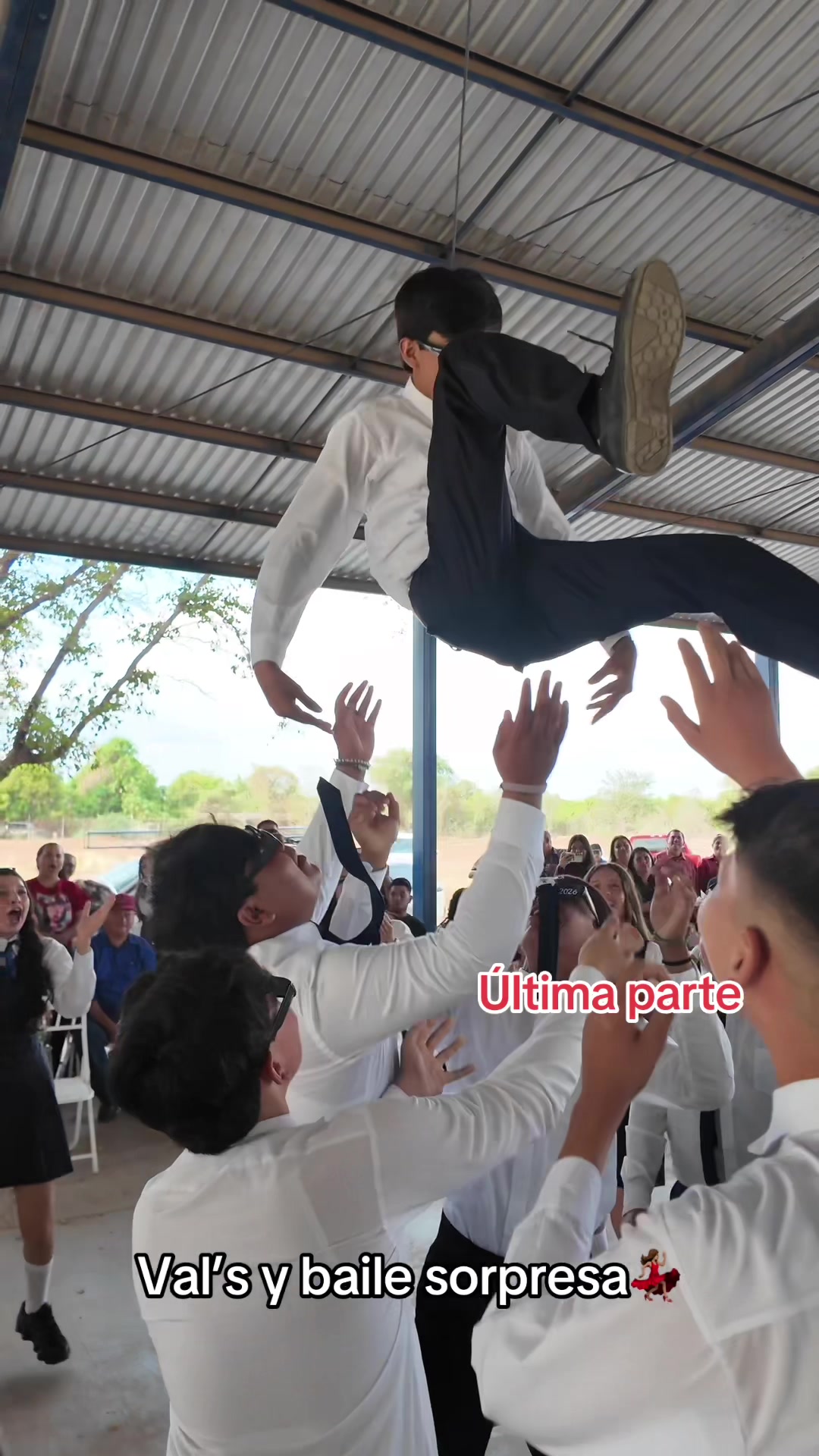 @maestracarolinaarmenta