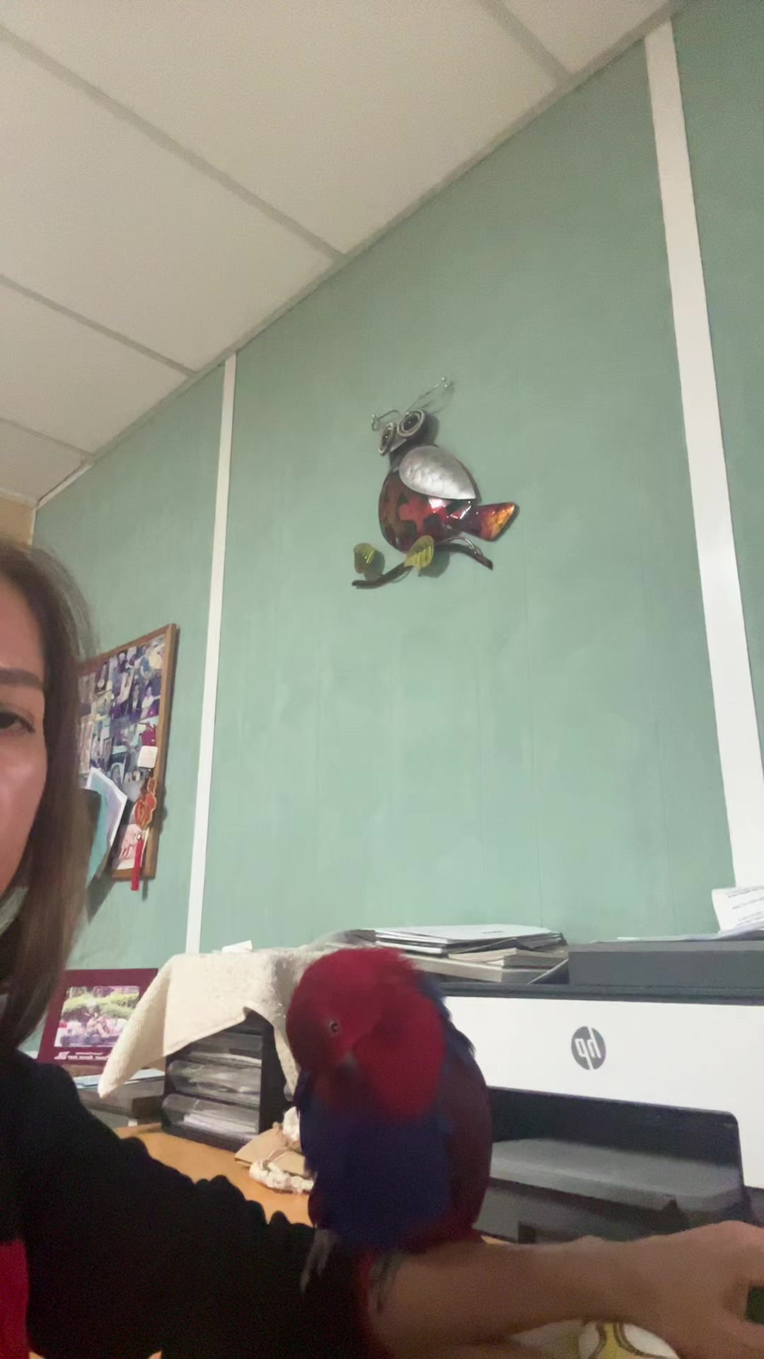 @Female parrot🥰👫🦜