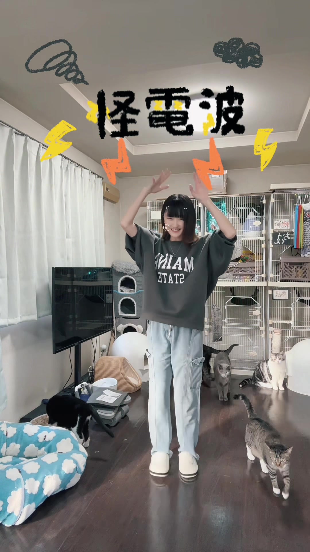 @ひかるマミー🎀山田さんちは猫まみれ