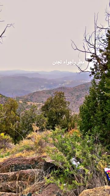 @NawaL1400